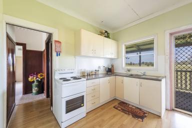 Livestock For Sale - NSW - Calliope - 2462 - PEACEFUL, PRODUCTIVE & READY TO ENJOY – 25 ACRE LIFESTYLE OPPORTUNITY  (Image 2)