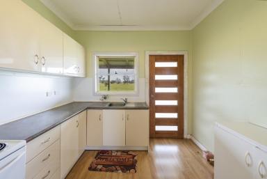 Livestock For Sale - NSW - Calliope - 2462 - PEACEFUL, PRODUCTIVE & READY TO ENJOY – 25 ACRE LIFESTYLE OPPORTUNITY  (Image 2)