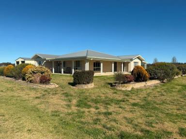 Lifestyle For Sale - QLD - Cottonvale - 4375 - Superb LifestyleFarming Property  (Image 2)
