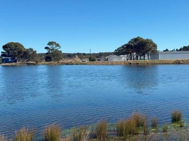 Lifestyle For Sale - QLD - Cottonvale - 4375 - Superb LifestyleFarming Property  (Image 2)