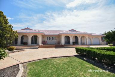 House For Sale - NSW - Inverell - 2360 - LIVE LARGE ON GORDON STREET  (Image 2)