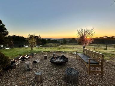 Lifestyle For Sale - NSW - Middle Arm - 2580 - Spectacular views, complete privacy, and a proven income stream.  (Image 2)