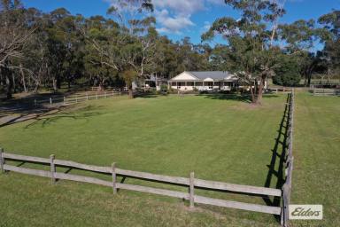 Farmlet For Sale - VIC - Woodside - 3874 - A QUIET COUNTRY LIFE  (Image 2)