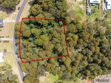 Residential Block For Sale - NSW - Batehaven - 2536 - Coastal Living Meets Country Space - 7,671sqm at Batehaven  (Image 2)