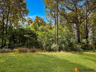 Residential Block For Sale - NSW - Batehaven - 2536 - Coastal Living Meets Country Space - 7,671sqm at Batehaven  (Image 2)