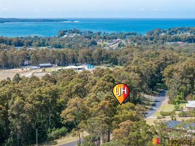 Residential Block For Sale - NSW - Batehaven - 2536 - Coastal Living Meets Country Space - 7,671sqm at Batehaven  (Image 2)