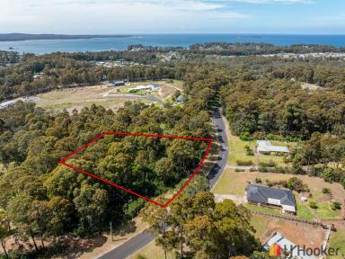 Residential Block For Sale - NSW - Batehaven - 2536 - Coastal Living Meets Country Space - 7,671sqm at Batehaven  (Image 2)