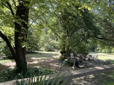 House For Sale - VIC - Warragul - 3820 - Space, Shedding & Family-Friendly Living (Image 2)