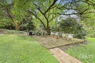 House For Sale - VIC - Warragul - 3820 - Space, Shedding & Family-Friendly Living  (Image 2)