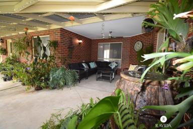 House For Sale - VIC - Oxley - 3678 - Modern Family Home in Prime Location  (Image 2)