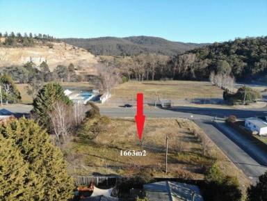 Residential Block For Sale - NSW - Captains Flat - 2623 - Large 1663m² Block with Subdivision Potential in the Heart of Captains Flat (Image 2)