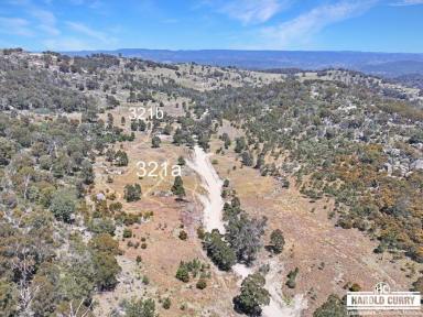 Residential Block For Sale - NSW - Tenterfield - 2372 - Two Blocks in Tenterfield High Country.....  (Image 2)
