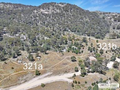 Residential Block For Sale - NSW - Tenterfield - 2372 - Two Blocks in Tenterfield High Country.....  (Image 2)