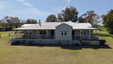 Livestock For Sale - NSW - Greenethorpe - 2809 - Pasture, Productivity, Position & Potential Expansion  (Image 2)