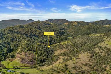 Lifestyle For Sale - NSW - Singleton - 2330 - CARROWBROOK - Secluded 16.19ha (40-Acre) Bush Retreat with Creek Frontage  (Image 2)