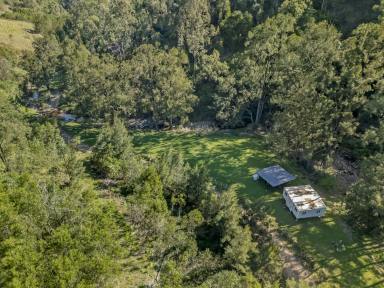 Lifestyle For Sale - NSW - Singleton - 2330 - CARROWBROOK - Secluded 16.19ha (40-Acre) Bush Retreat with Creek Frontage  (Image 2)