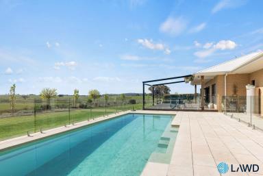 Mixed Farming For Sale - NSW - Yass - 2582 - High Rainfall Grazing with Renewable Energy Upside  (Image 2)