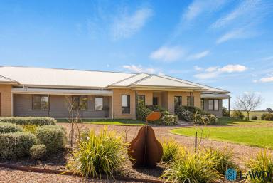 Mixed Farming For Sale - NSW - Yass - 2582 - High Rainfall Grazing with Renewable Energy Upside  (Image 2)