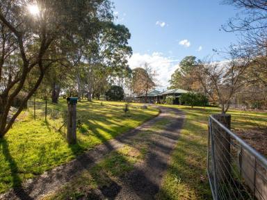 Acreage/Semi-rural For Sale - NSW - Tarraganda - 2550 - CHARMING COUNTRY LIVING IN TARRAGANDA!  (Image 2)