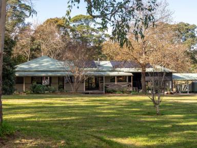 Acreage/Semi-rural For Sale - NSW - Tarraganda - 2550 - CHARMING COUNTRY LIVING IN TARRAGANDA!  (Image 2)