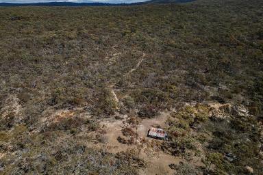 Other (Rural) For Sale - NSW - Mudgee - 2850 - DIG FOR GOLD, PROSPECTORS PARADISE  (Image 2)