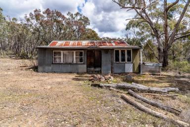 Other (Rural) For Sale - NSW - Mudgee - 2850 - DIG FOR GOLD, PROSPECTORS PARADISE  (Image 2)