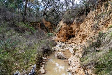 Other (Rural) Sold - NSW - Mudgee - 2850 - DIG FOR GOLD, PROSPECTORS PARADISE  (Image 2)