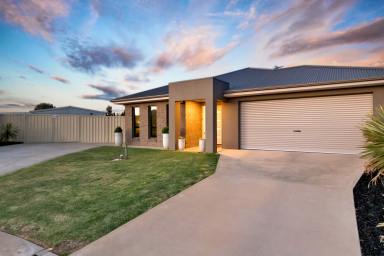 House For Sale - VIC - Mildura - 3500 - Shed, Spa, Solar and Space - It's All Here  (Image 2)