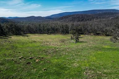 Other (Rural) For Sale - NSW - Rylstone - 2849 - CREEK FRONTAGE, STUNNING VIEWS & 40 ACRES  (Image 2)