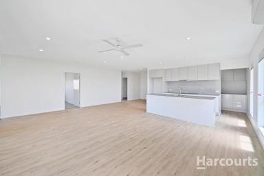 House For Lease - QLD - Bargara - 4670 - Coastal Elegance: 4-Bedroom Home in Bargara  (Image 2)