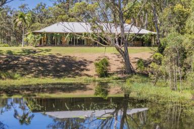 Acreage/Semi-rural For Sale - NSW - Limeburners Creek - 2324 - KENMORE | Country Living with City Convenience  (Image 2)