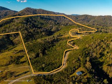 Residential Block For Sale - NSW - Brogo - 2550 - BUSHLAND ESCAPE  (Image 2)