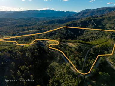 Residential Block For Sale - NSW - Brogo - 2550 - BUSHLAND ESCAPE  (Image 2)