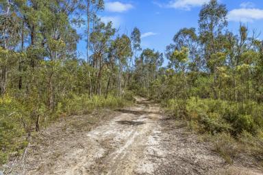 Lifestyle Sold - NSW - Howes Valley - 2330 - Untouched Bushland Escape - 130.5 Hectares (322 Acres)  (Image 2)