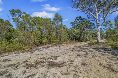 Lifestyle For Sale - NSW - Howes Valley - 2330 - Untouched Bushland Escape - 130.5 Hectares (322 Acres)  (Image 2)