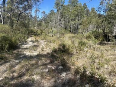 Lifestyle For Sale - NSW - Howes Valley - 2330 - Untouched Bushland Escape - 130.5 Hectares (322 Acres)  (Image 2)