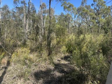 Lifestyle For Sale - NSW - Howes Valley - 2330 - Untouched Bushland Escape - 130.5 Hectares (322 Acres)  (Image 2)