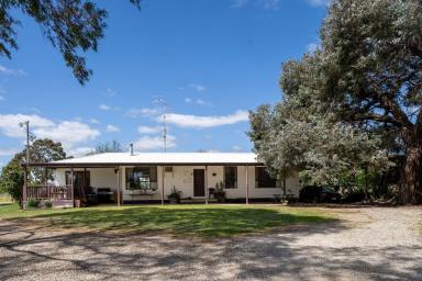 Lifestyle Sold - VIC - Mangalore - 3663 - Lifestyle and Equine Holding  (Image 2)