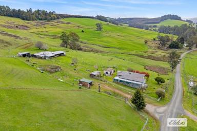 Other (Rural) For Sale - TAS - Wilmot - 7310 - GREAT STARTER FARM  (Image 2)