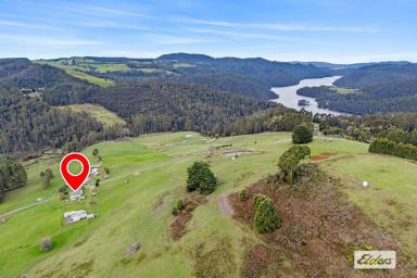 Other (Rural) For Sale - TAS - Wilmot - 7310 - GREAT STARTER FARM  (Image 2)