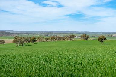 Mixed Farming For Sale - NSW - Goulburn - 2580 - Large Landholding Close To Goulburn  (Image 2)