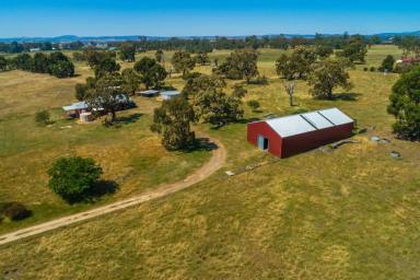 Acreage/Semi-rural For Sale - VIC - Glenhope - 3444 - Your Country Escape Awaits 47 Acres in Glenhope (Image 2)