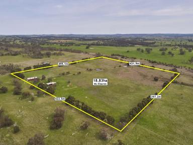 Acreage/Semi-rural For Sale - VIC - Glenhope - 3444 - Your Country Escape Awaits 47 Acres in Glenhope (Image 2)