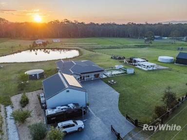 Acreage/Semi-rural For Sale - NSW - Clarence Town - 2321 - Working from home has never made country living more desirable.  (Image 2)