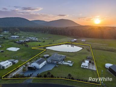 Acreage/Semi-rural For Sale - NSW - Clarence Town - 2321 - Working from home has never made country living more desirable.  (Image 2)