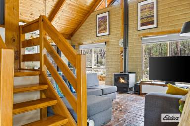 House For Sale - VIC - Halls Gap - 3381 - 'Bergdromen' Nature Lover's Retreat in Halls Gap – 3.38 Acres of Tranquillity  (Image 2)