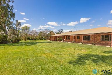 Lifestyle For Sale - NSW - Jeir - 2582 - ULTIMATE RURAL LIFESTYLE ON CANBERRA'S DOORSTEP  (Image 2)