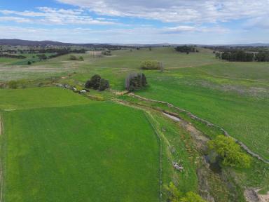 Mixed Farming For Sale - NSW - Gundaroo - 2620 - Historic property providing a unique rural lifestyle with subdivision potential  (Image 2)