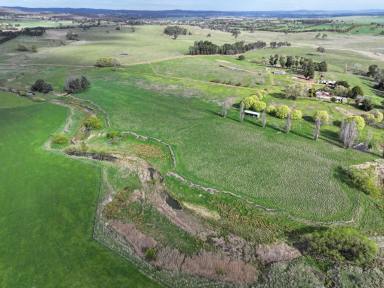 Mixed Farming For Sale - NSW - Gundaroo - 2620 - Historic property providing a unique rural lifestyle with subdivision potential  (Image 2)