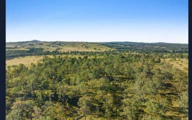 Residential Block For Sale - QLD - Crows Nest - 4355 - 100-Acre cattle grazing land, bore, set of yards & only 2 mins from  Crows Nest QLD  (Image 2)